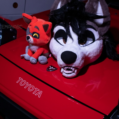 2024-06-21 Funny Hill